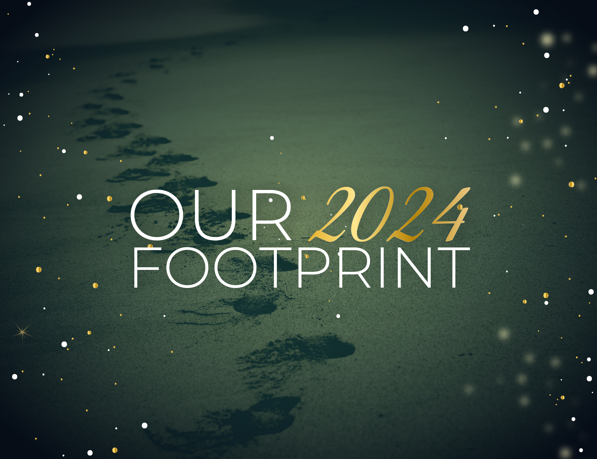 Our 2024 Footprint